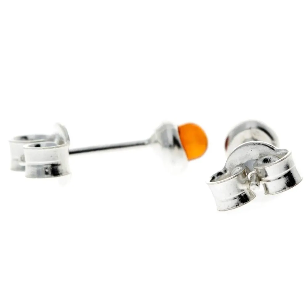 925 Sterling Silver & Genuine Baltic Amber Classic Small Studs Earrings - 8275