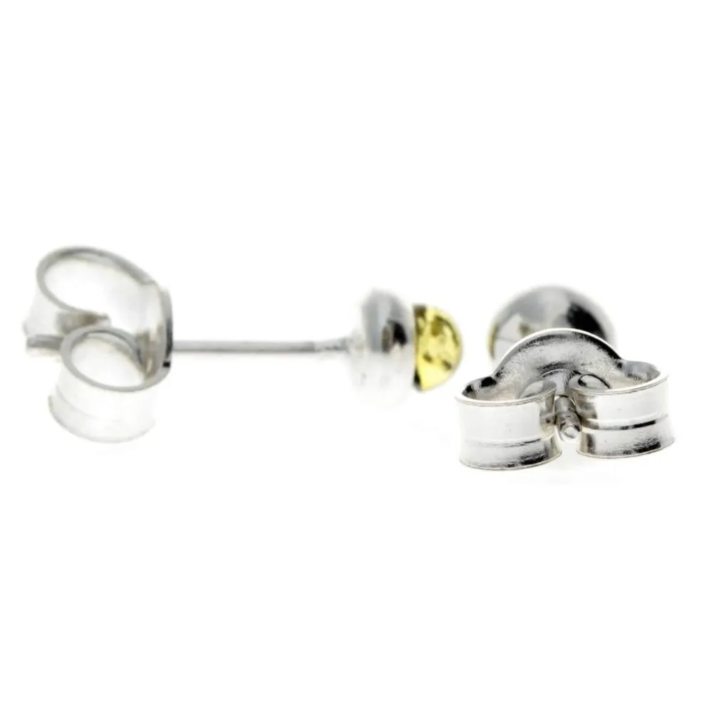 925 Sterling Silver & Genuine Baltic Amber Classic Small Studs Earrings - 8275