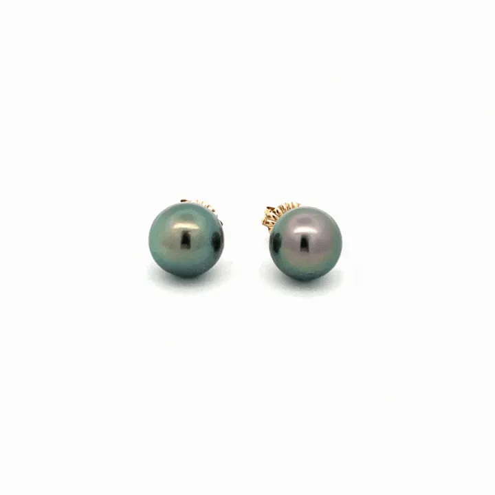 9K Yellow Gold Tahitian Cultured 8-9 mm Pearl Stud Earrings