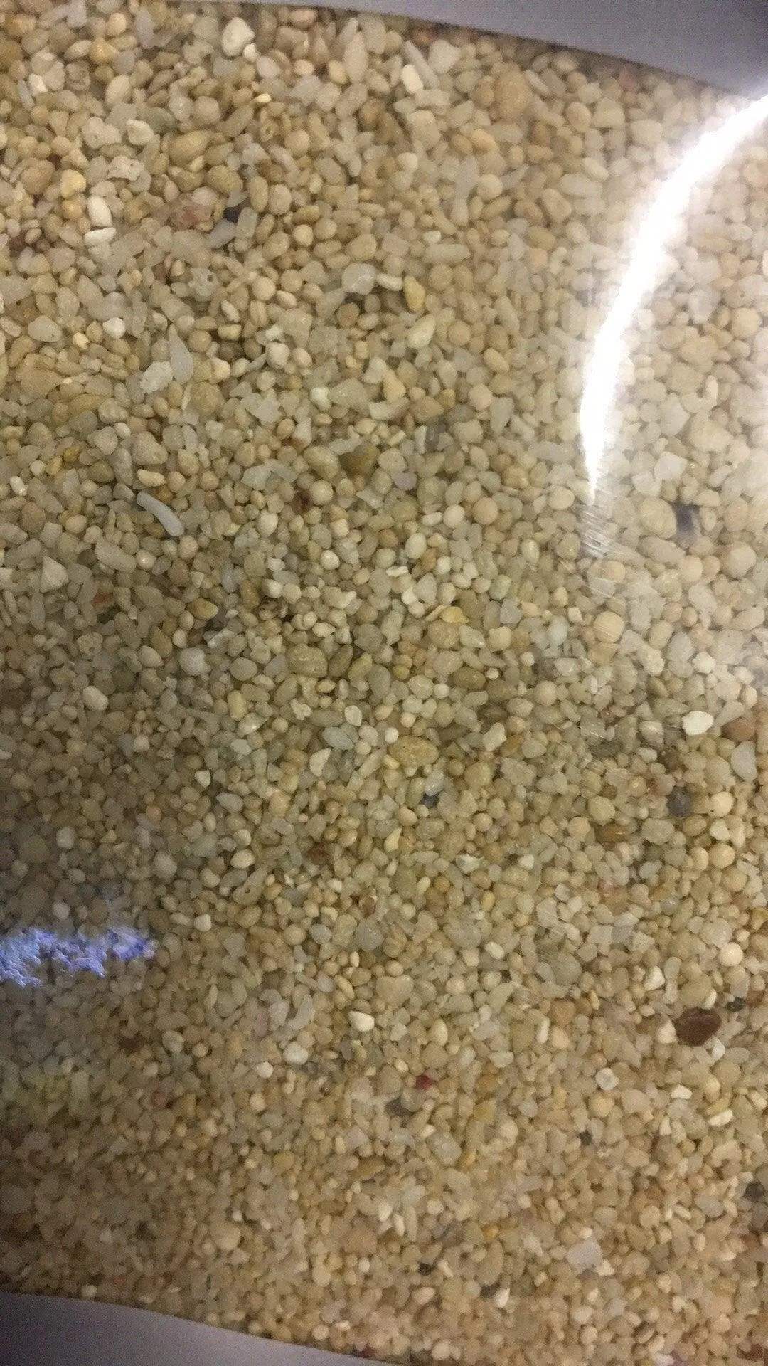 Classica Marine Aragonite Coral Sand 2mm