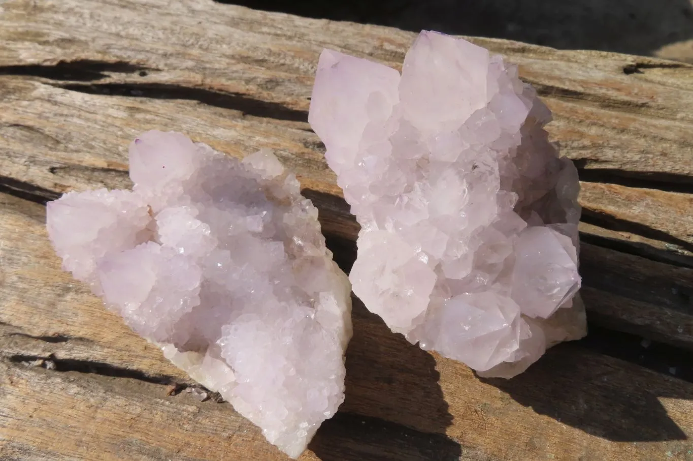 Natural Cactus Flower Spirit Quartz Clusters x 6 From Boekenhouthoek, South Africa