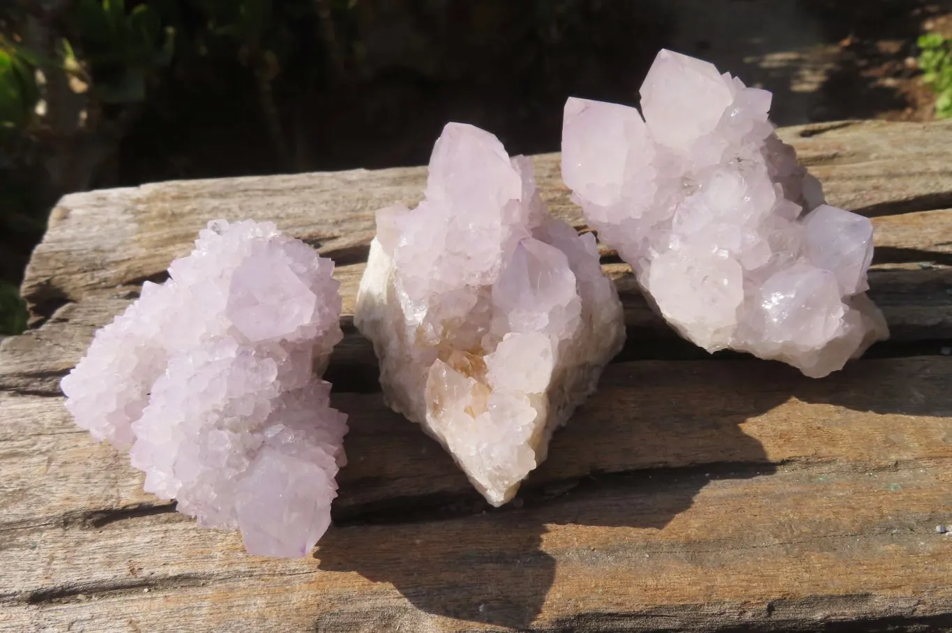 Natural Cactus Flower Spirit Quartz Clusters x 6 From Boekenhouthoek, South Africa