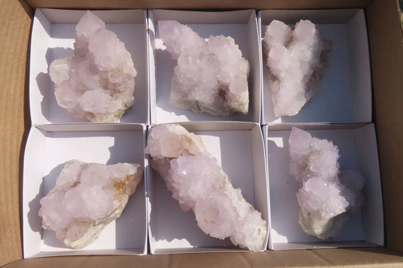 Natural Cactus Flower Spirit Quartz Clusters x 6 From Boekenhouthoek, South Africa