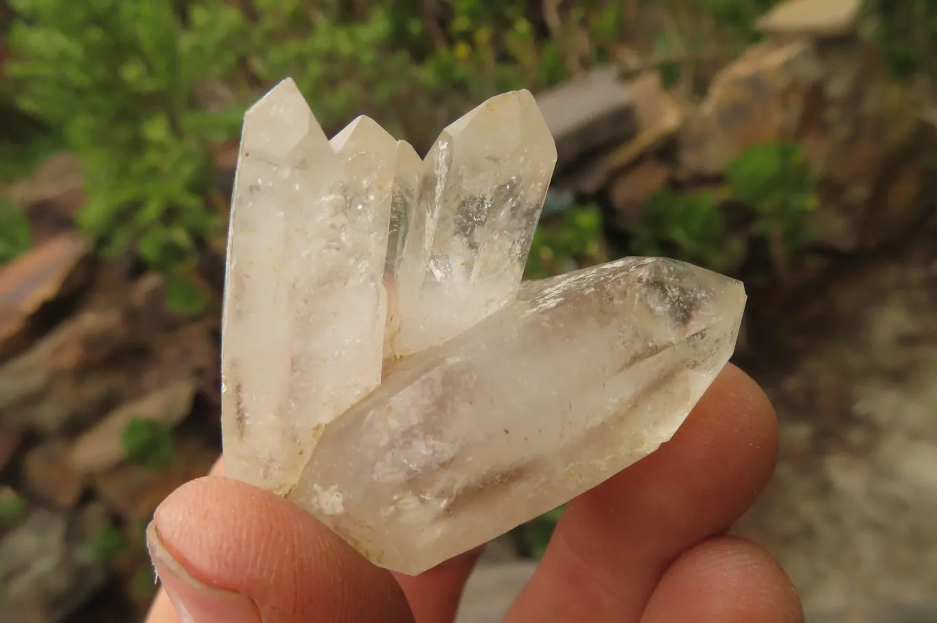 Natural Clear Quartz Clusters x 12 From Brandberg, Namibia