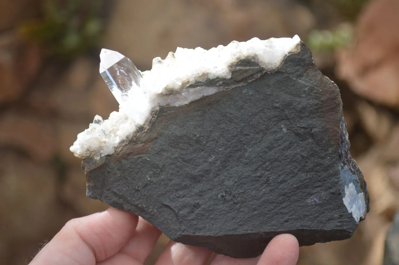 Natural Clear Quartz On Dolomite Matrix Specimens x 4 From Brandberg, South Africa