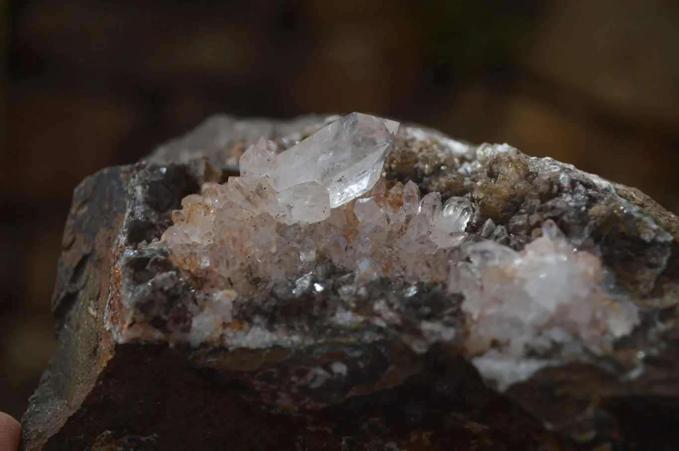 Natural Clear Quartz On Dolomite Matrix Specimens x 4 From Brandberg, South Africa