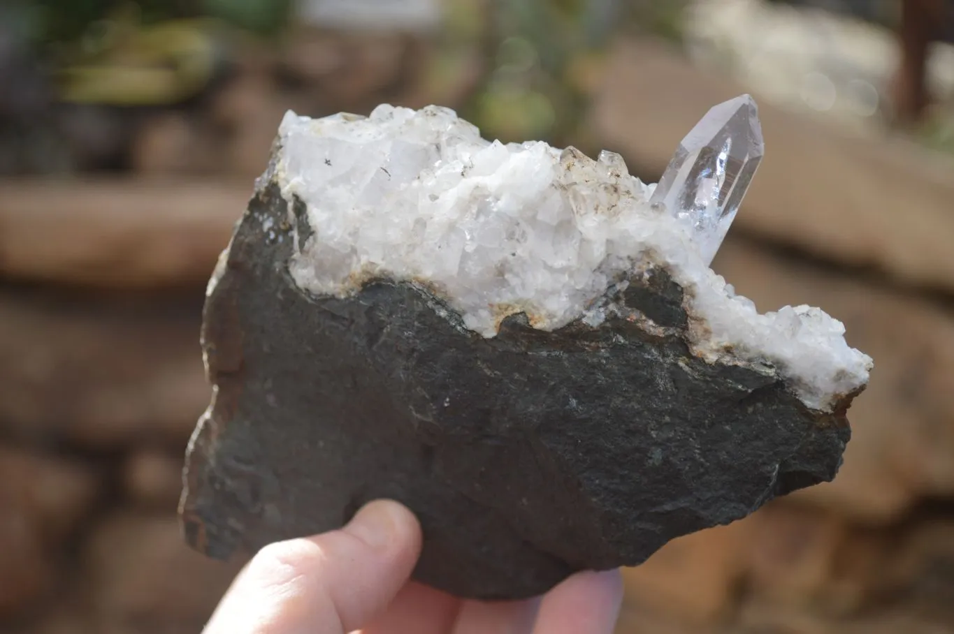 Natural Clear Quartz On Dolomite Matrix Specimens x 4 From Brandberg, South Africa