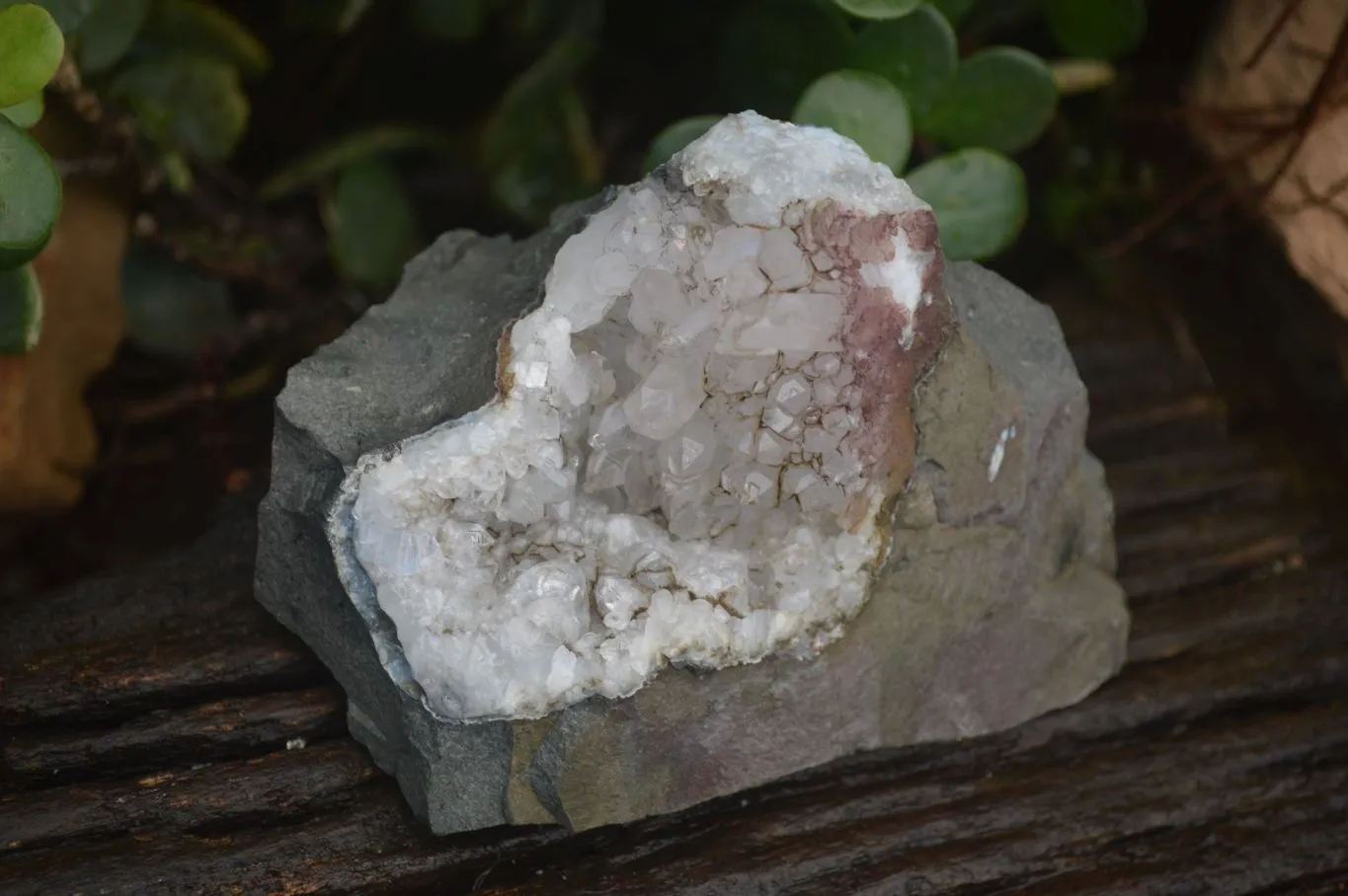 Natural Clear Quartz On Dolomite Matrix Specimens x 4 From Brandberg, South Africa