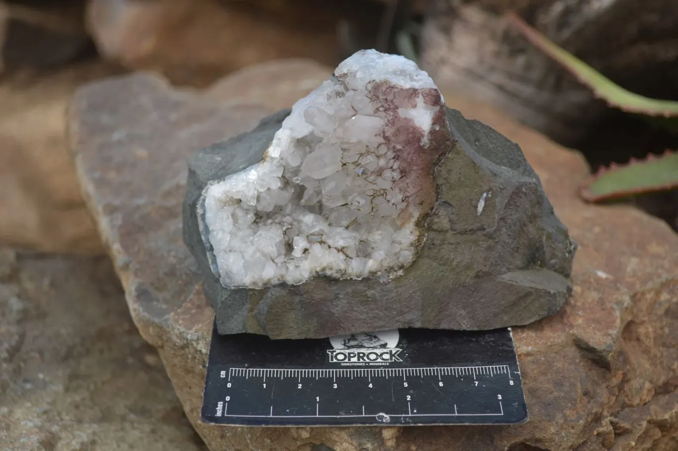 Natural Clear Quartz On Dolomite Matrix Specimens x 4 From Brandberg, South Africa