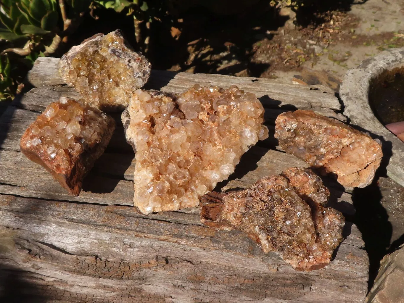 Natural Golden Limonite Quartz Clusters x 5 From Zambia