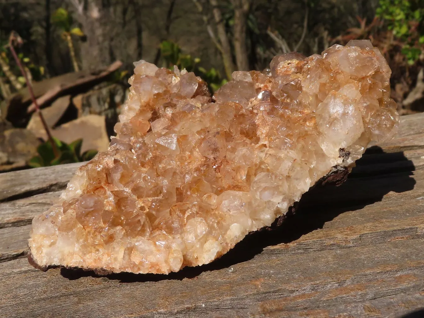 Natural Golden Limonite Quartz Clusters x 5 From Zambia