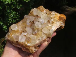 Natural Large Limonite Quartz Clusters x 2 From Solwezi, Zambia