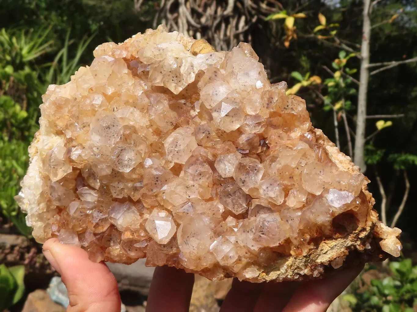 Natural Large Limonite Quartz Clusters x 2 From Solwezi, Zambia