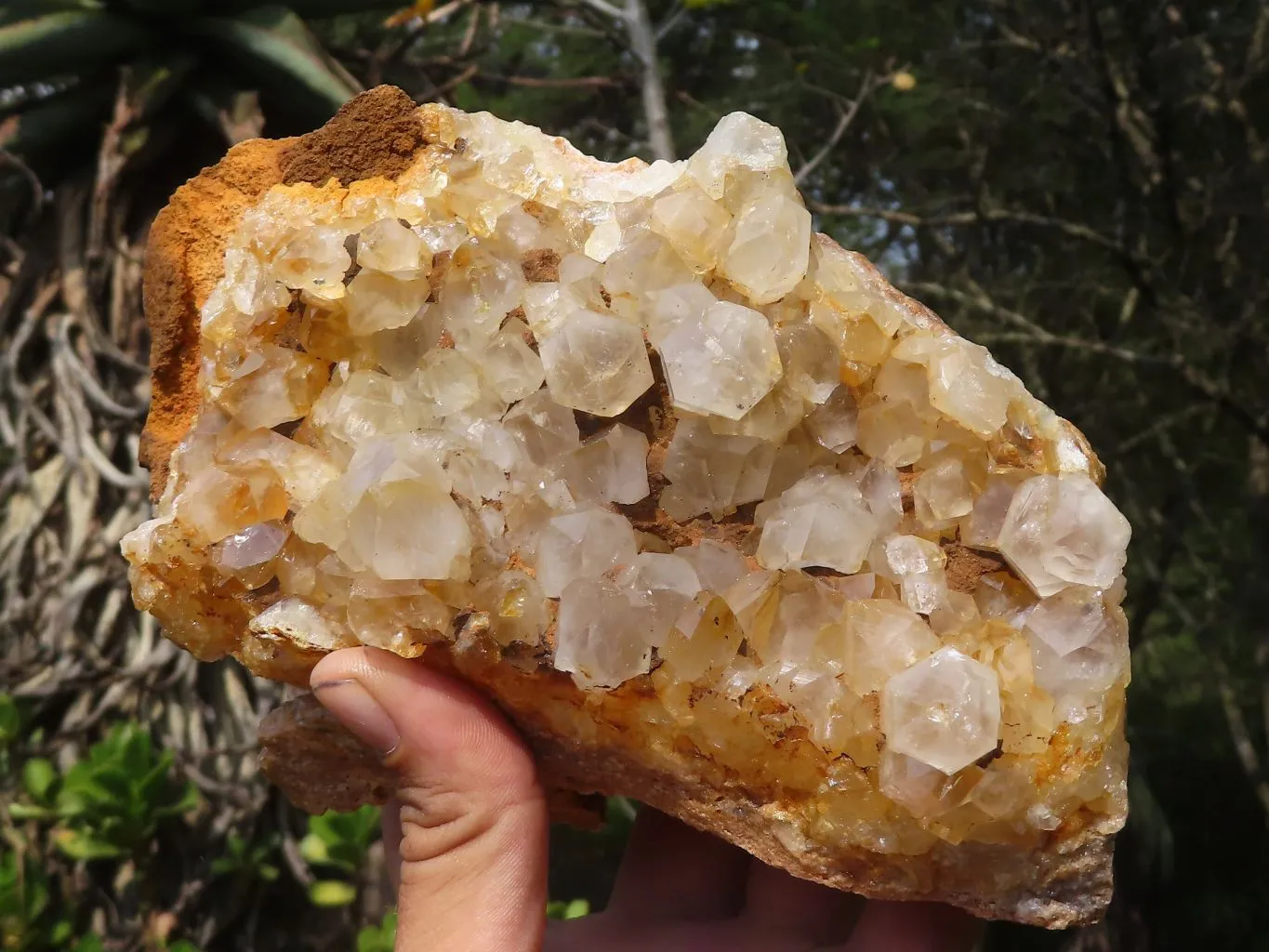 Natural Large Limonite Quartz Clusters x 2 From Solwezi, Zambia