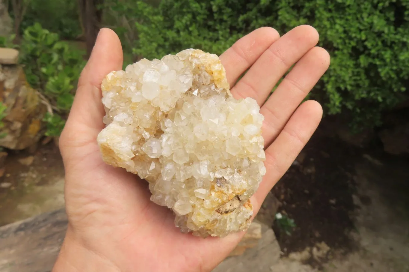 Natural Limonite Quartz Clusters x 12 From Zambia