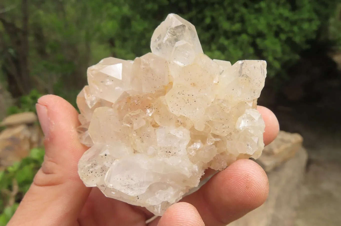 Natural Limonite Quartz Clusters x 12 From Zambia