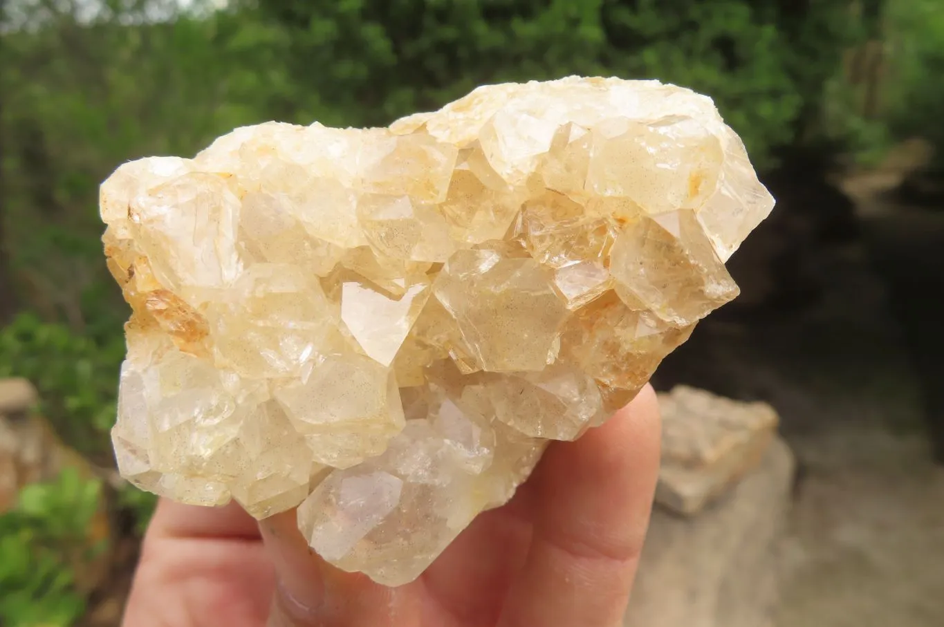 Natural Limonite Quartz Clusters x 12 From Zambia