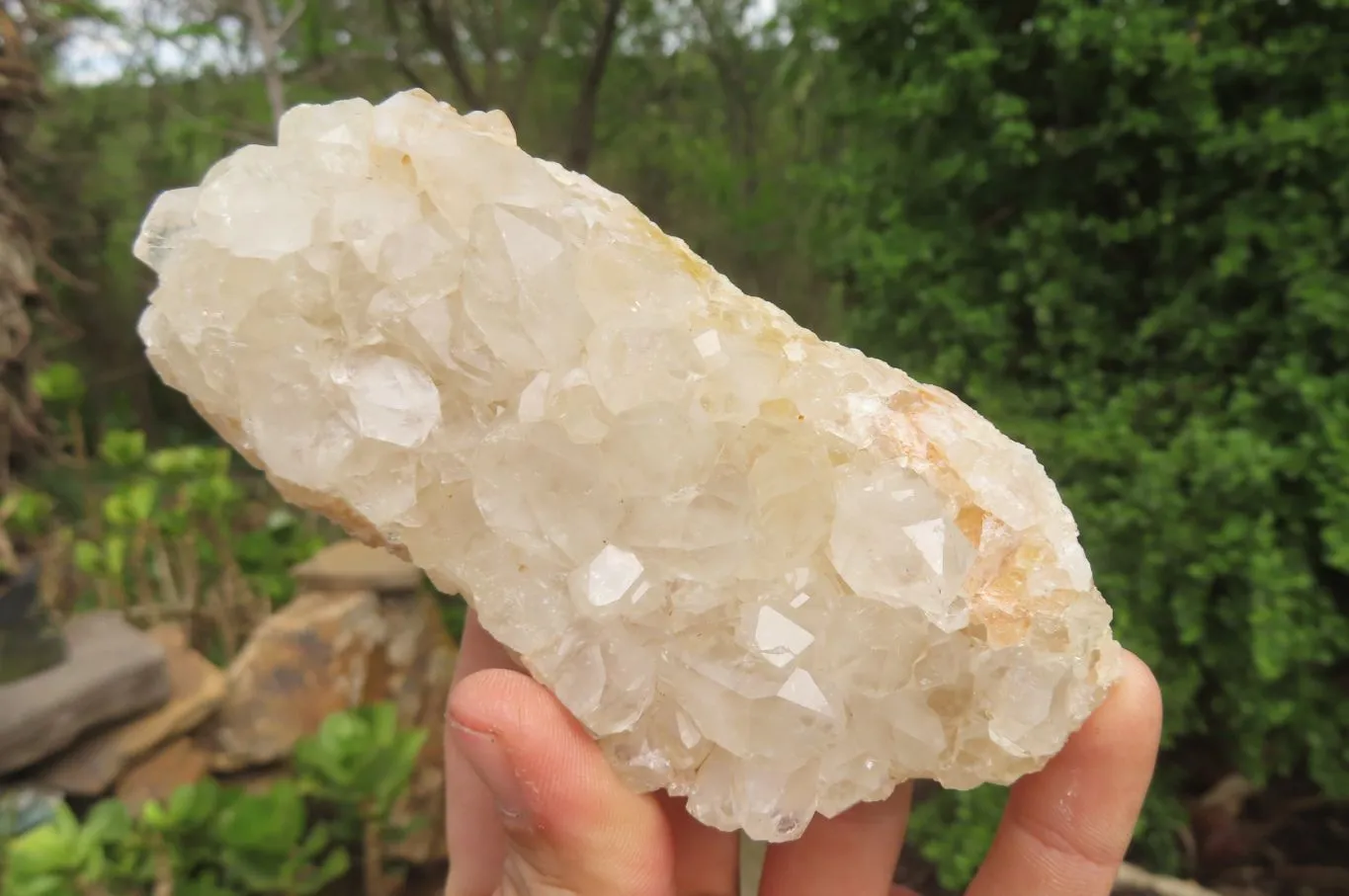 Natural Limonite Quartz Clusters x 12 From Zambia