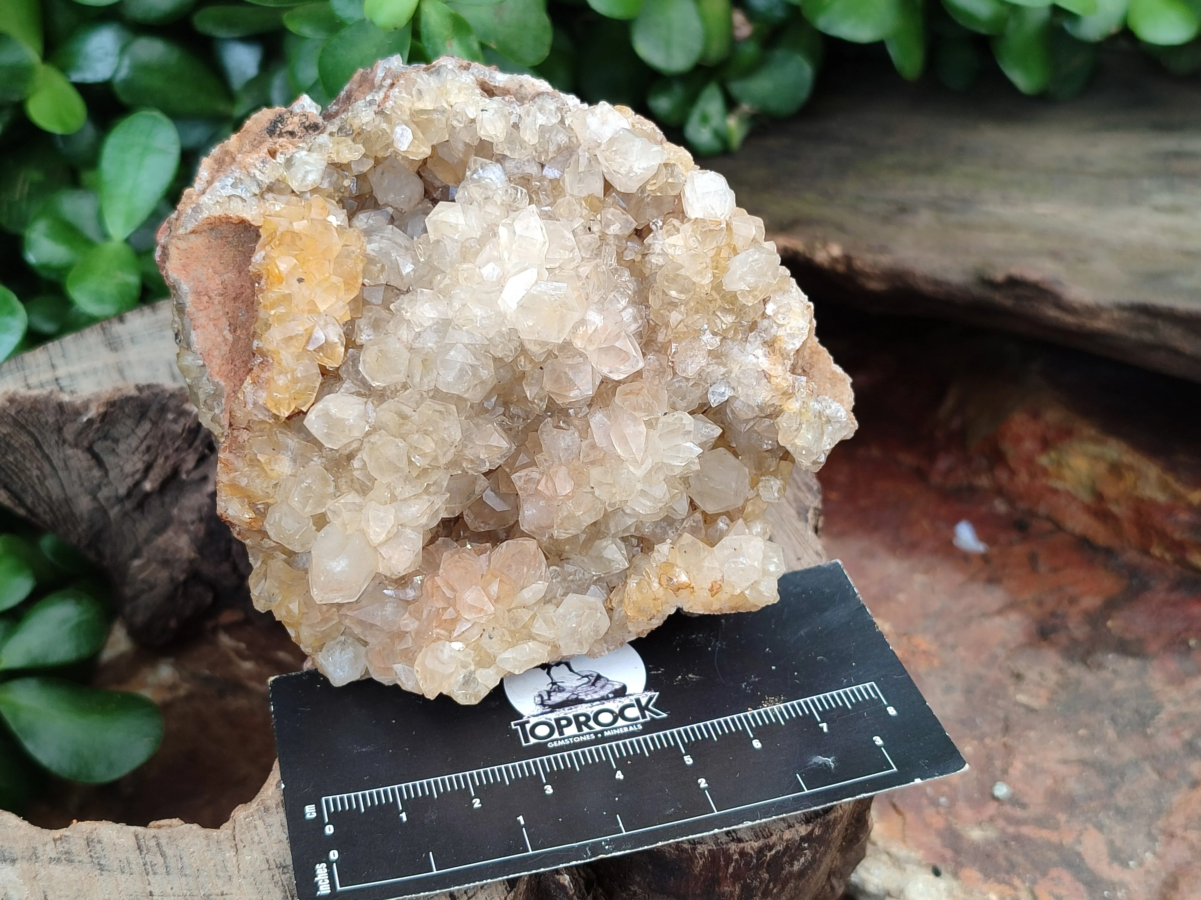 Natural Limonite Quartz Clusters x 2 From Zambia