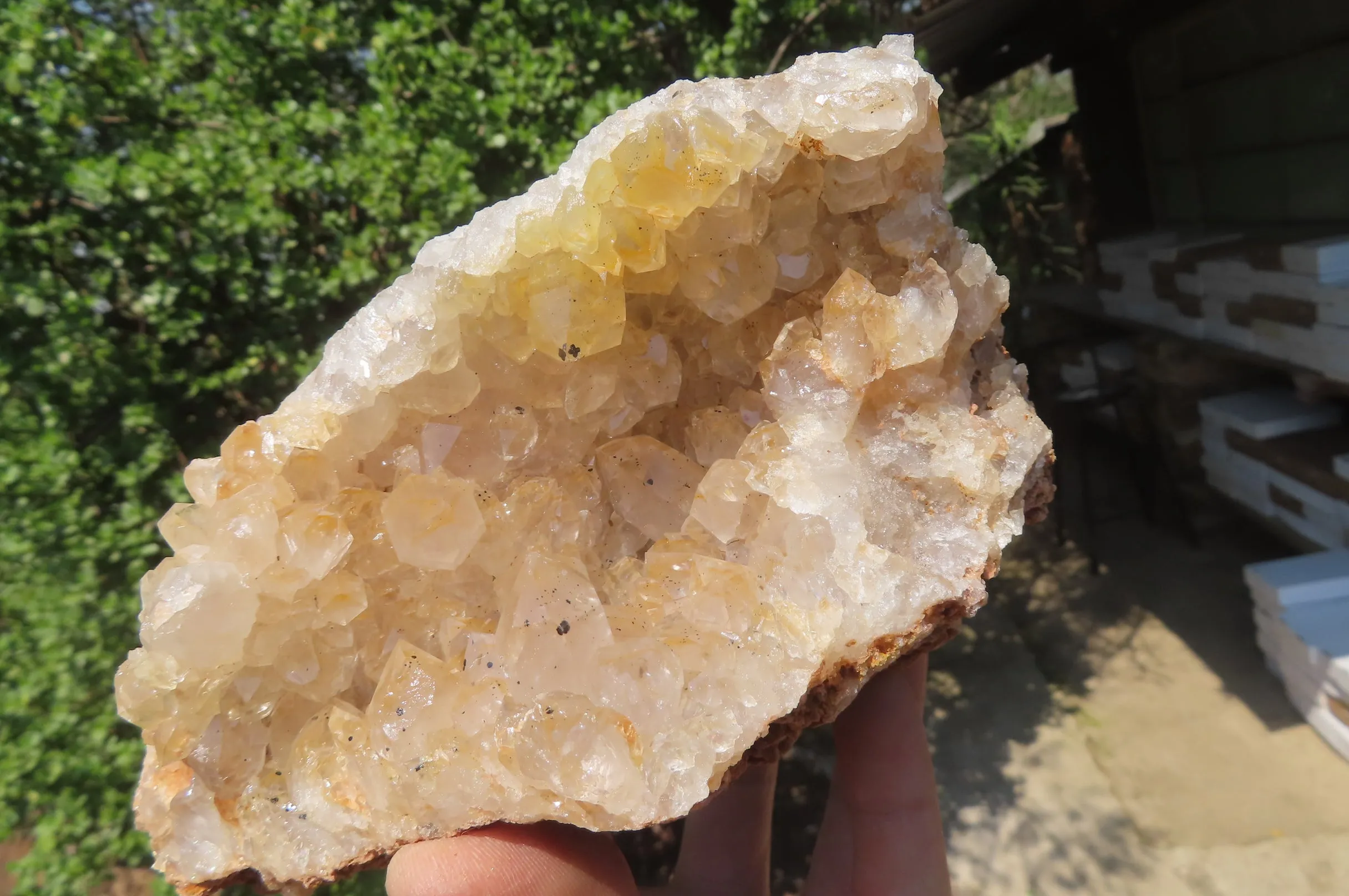 Natural Limonite Quartz Geode Specimens x 4 From Zambia