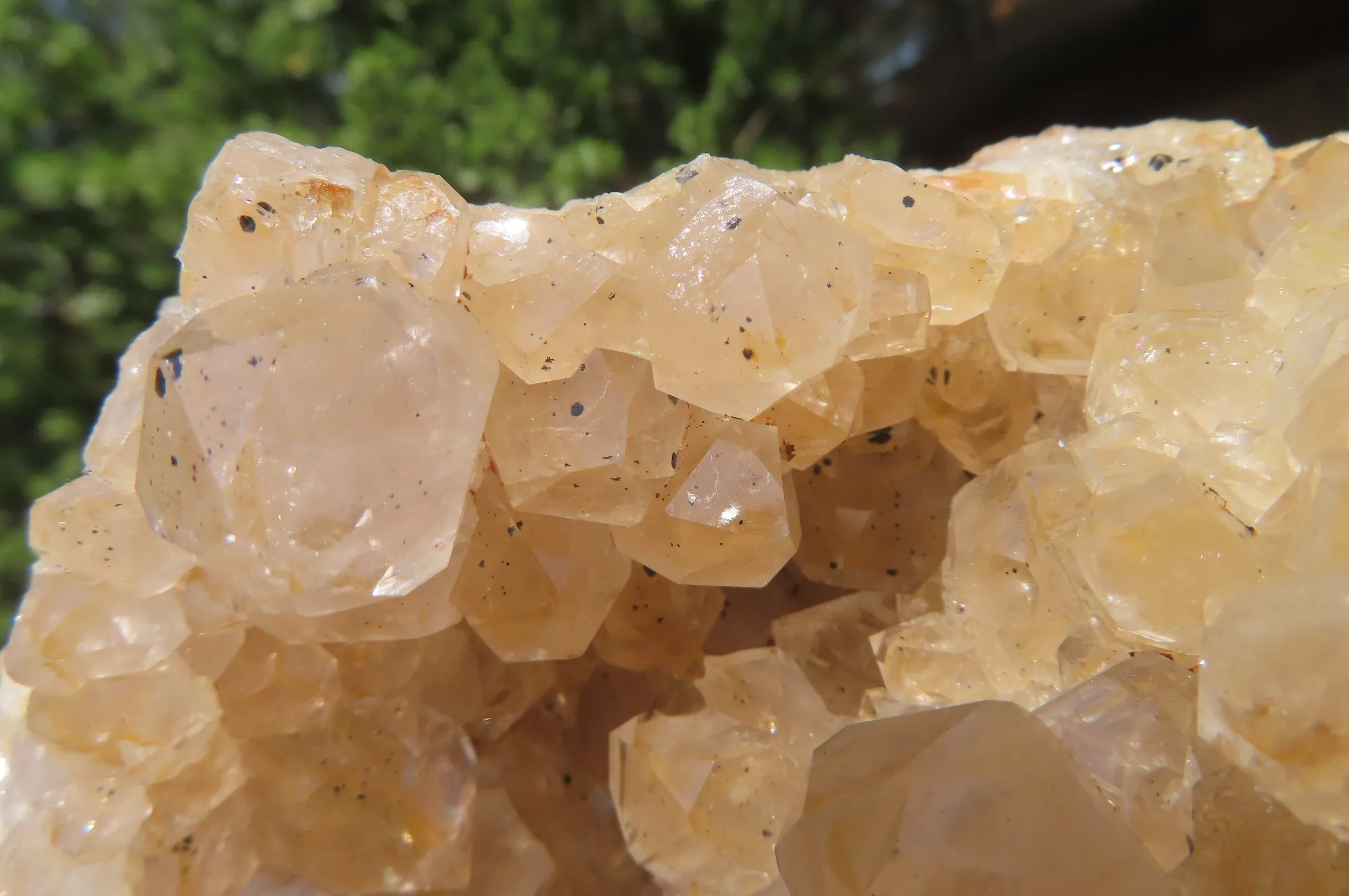 Natural Limonite Quartz Geode Specimens x 4 From Zambia