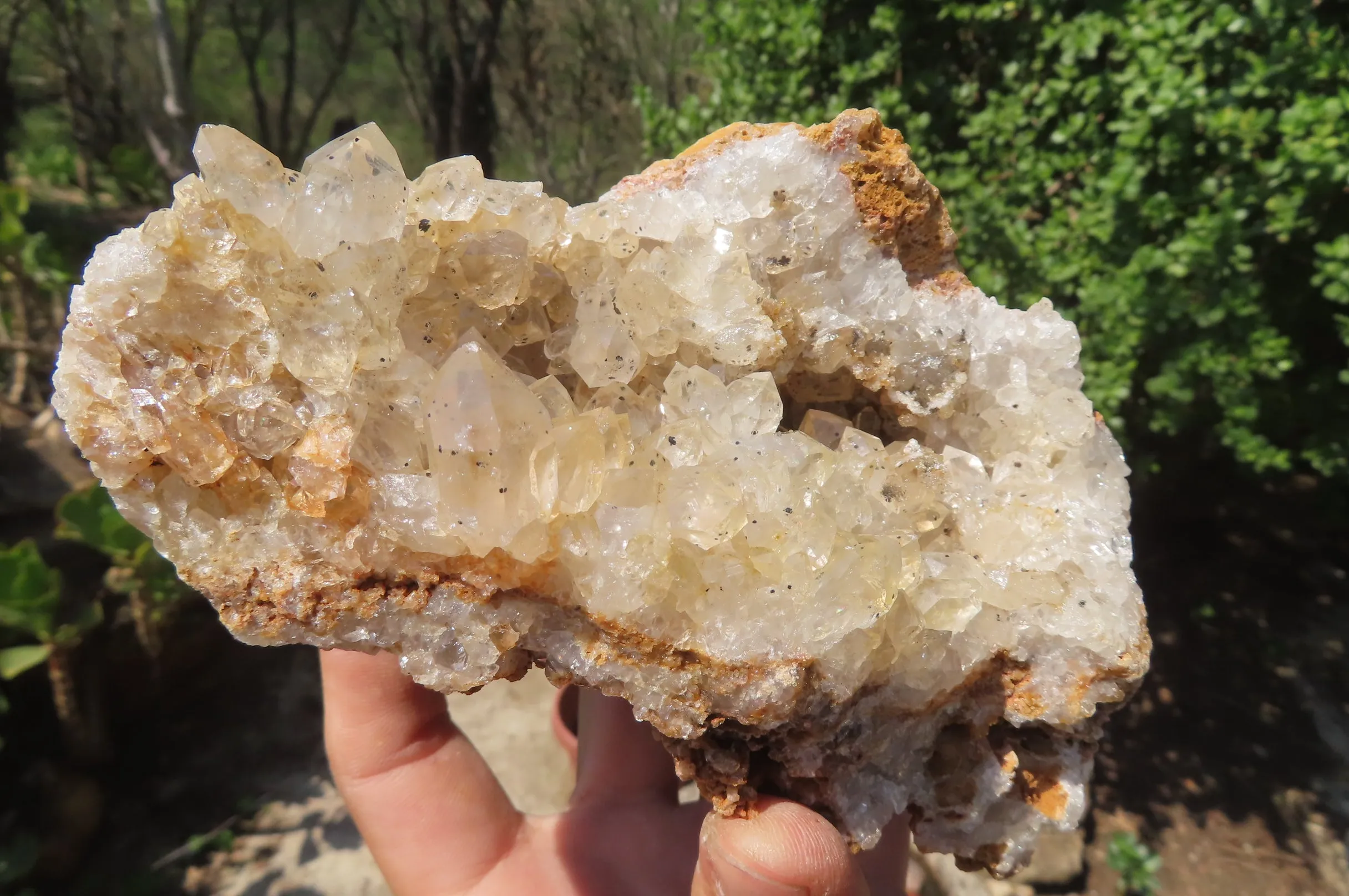 Natural Limonite Quartz Geode Specimens x 4 From Zambia