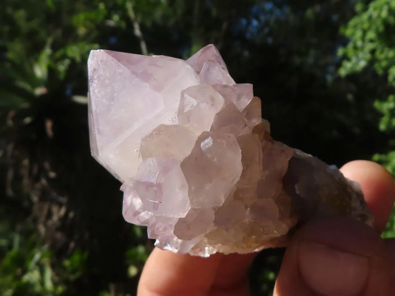 Natural Mixed Selection Of Small Spirit Quartz Clusters  x 35 From Boekenhouthoek, South Africa