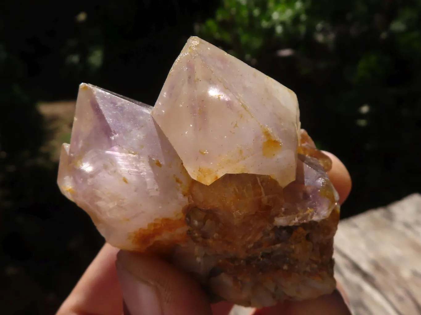 Natural Mixed Selection Of Small Spirit Quartz Clusters  x 35 From Boekenhouthoek, South Africa