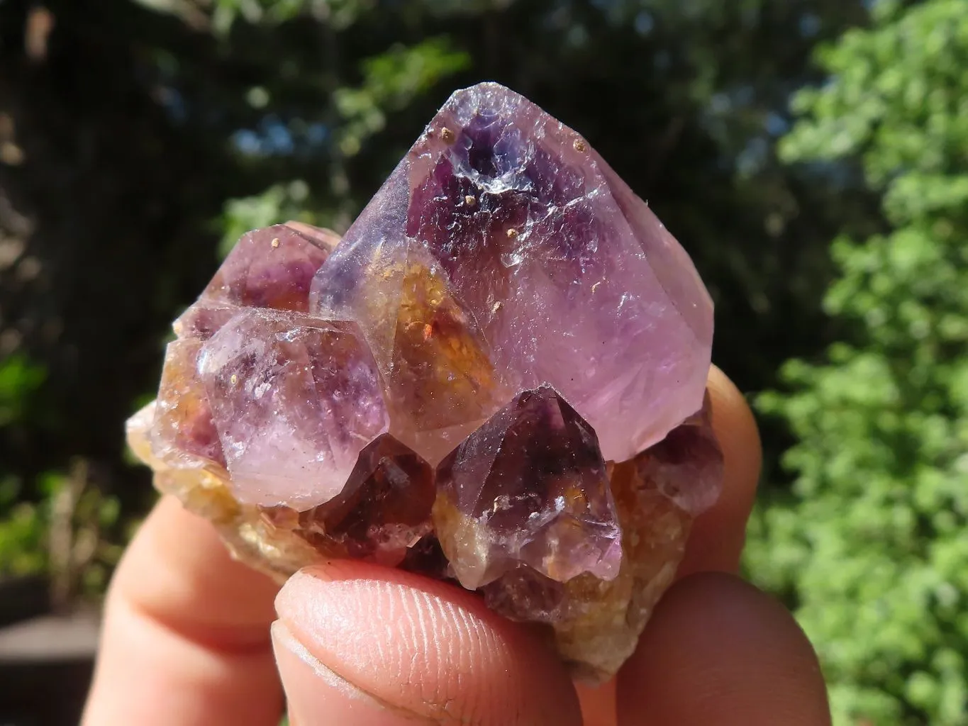 Natural Mixed Selection Of Small Spirit Quartz Clusters  x 35 From Boekenhouthoek, South Africa