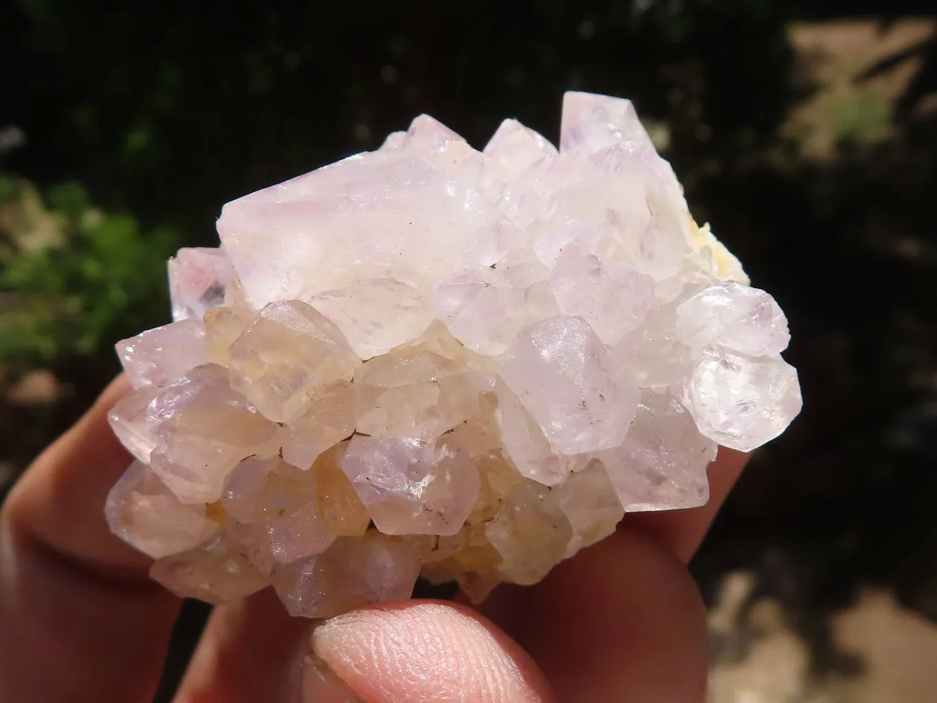 Natural Mixed Selection Of Small Spirit Quartz Clusters  x 35 From Boekenhouthoek, South Africa