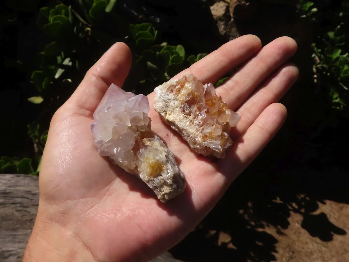 Natural Mixed Selection Of Small Spirit Quartz Clusters  x 35 From Boekenhouthoek, South Africa