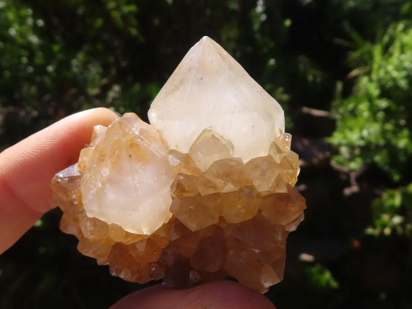 Natural Mixed Selection Of Small Spirit Quartz Clusters  x 35 From Boekenhouthoek, South Africa