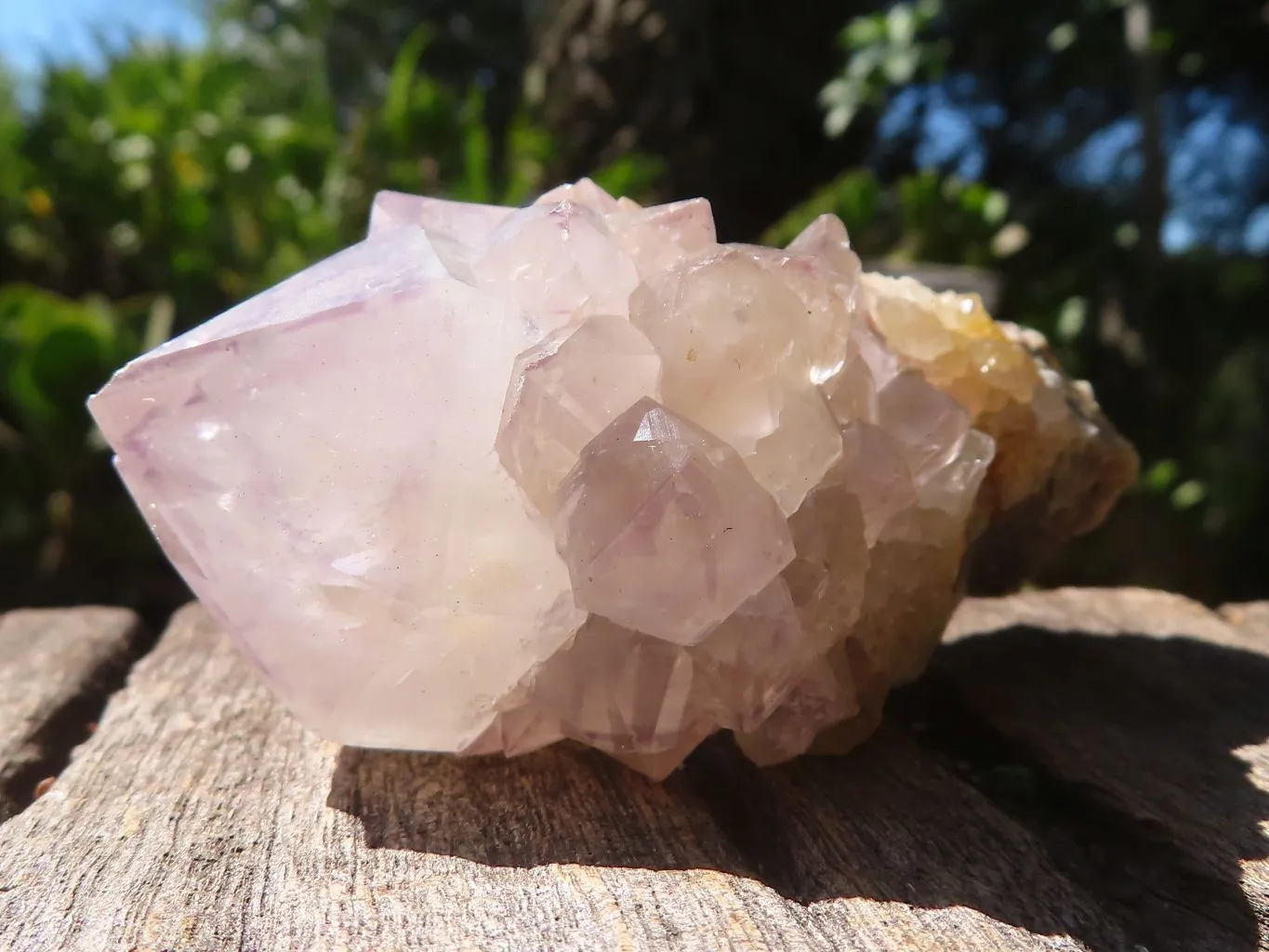 Natural Mixed Selection Of Small Spirit Quartz Clusters  x 35 From Boekenhouthoek, South Africa