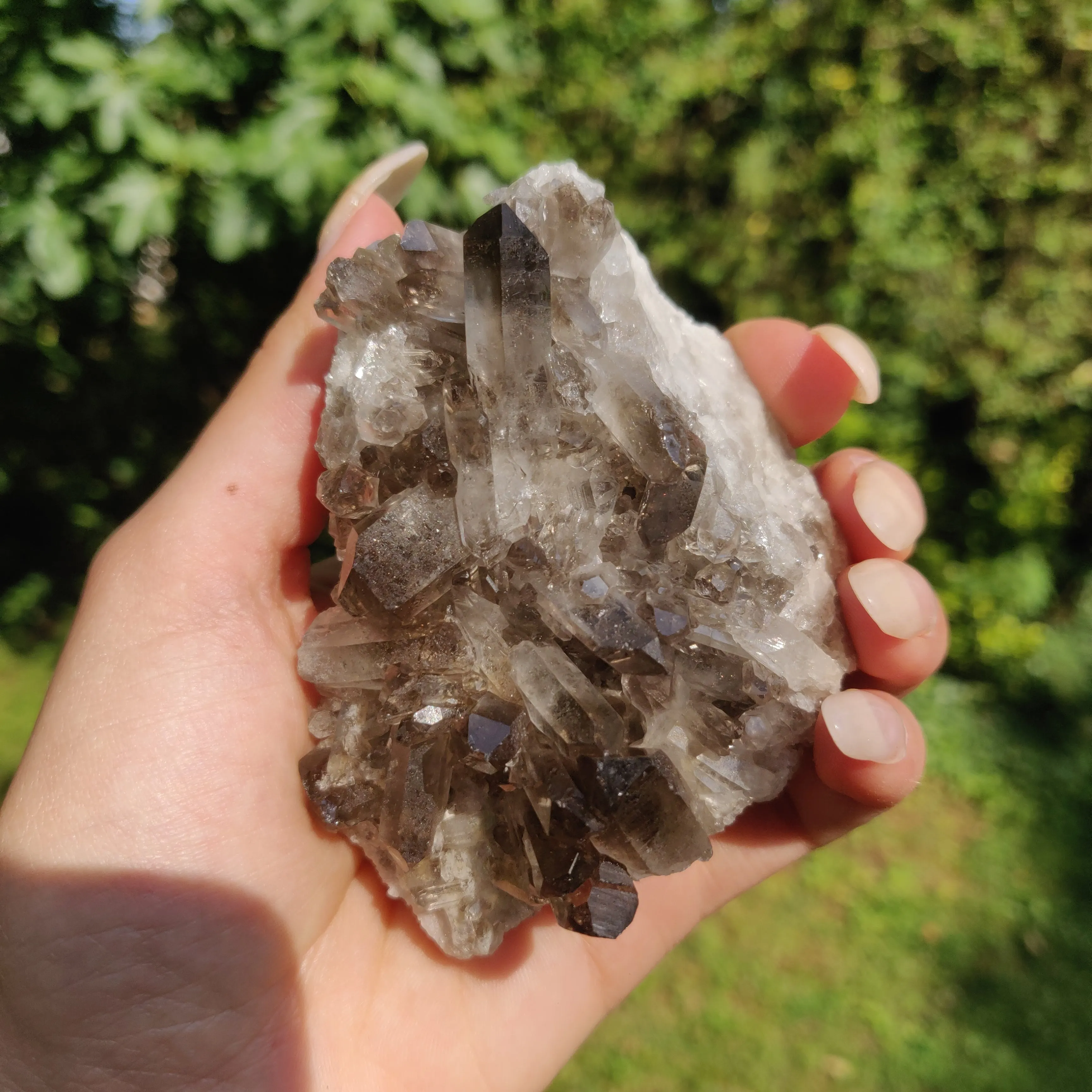 Smoky Quartz Cluster (#2)