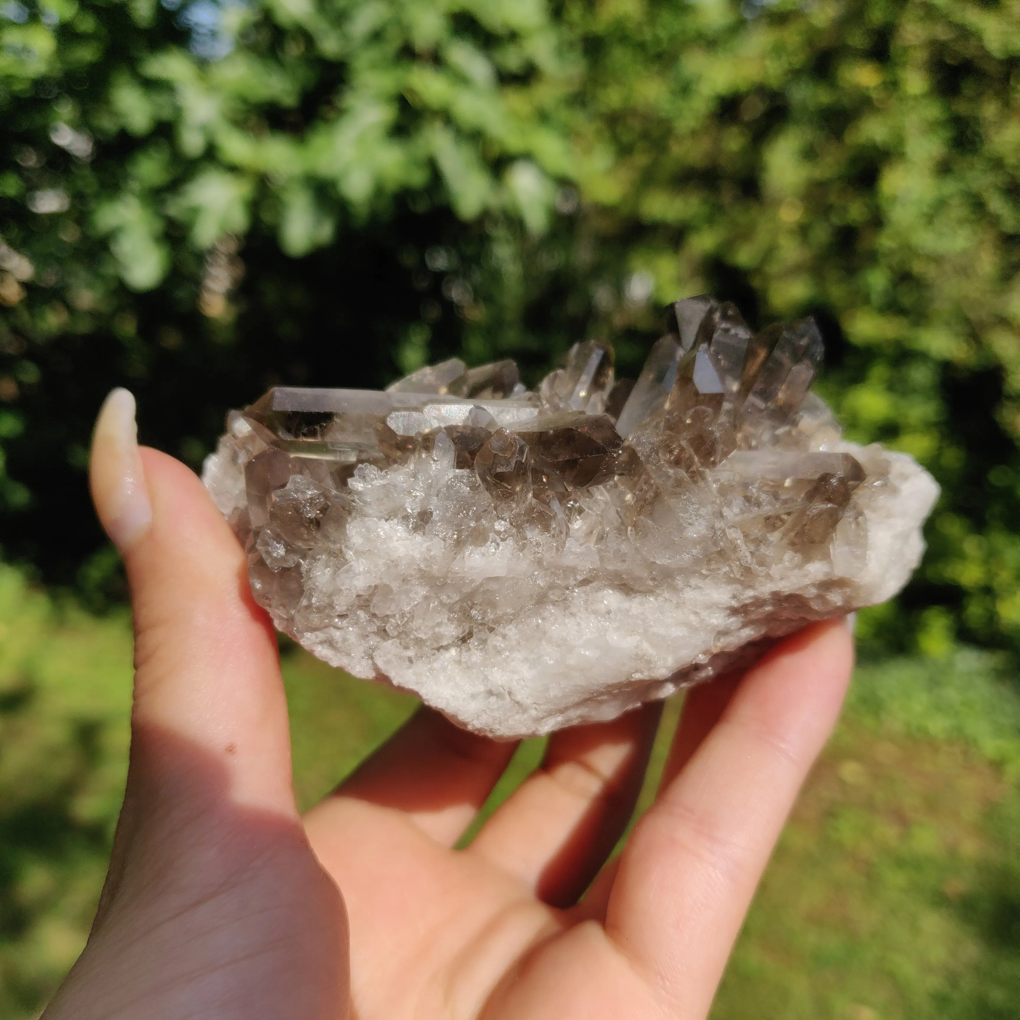 Smoky Quartz Cluster (#2)