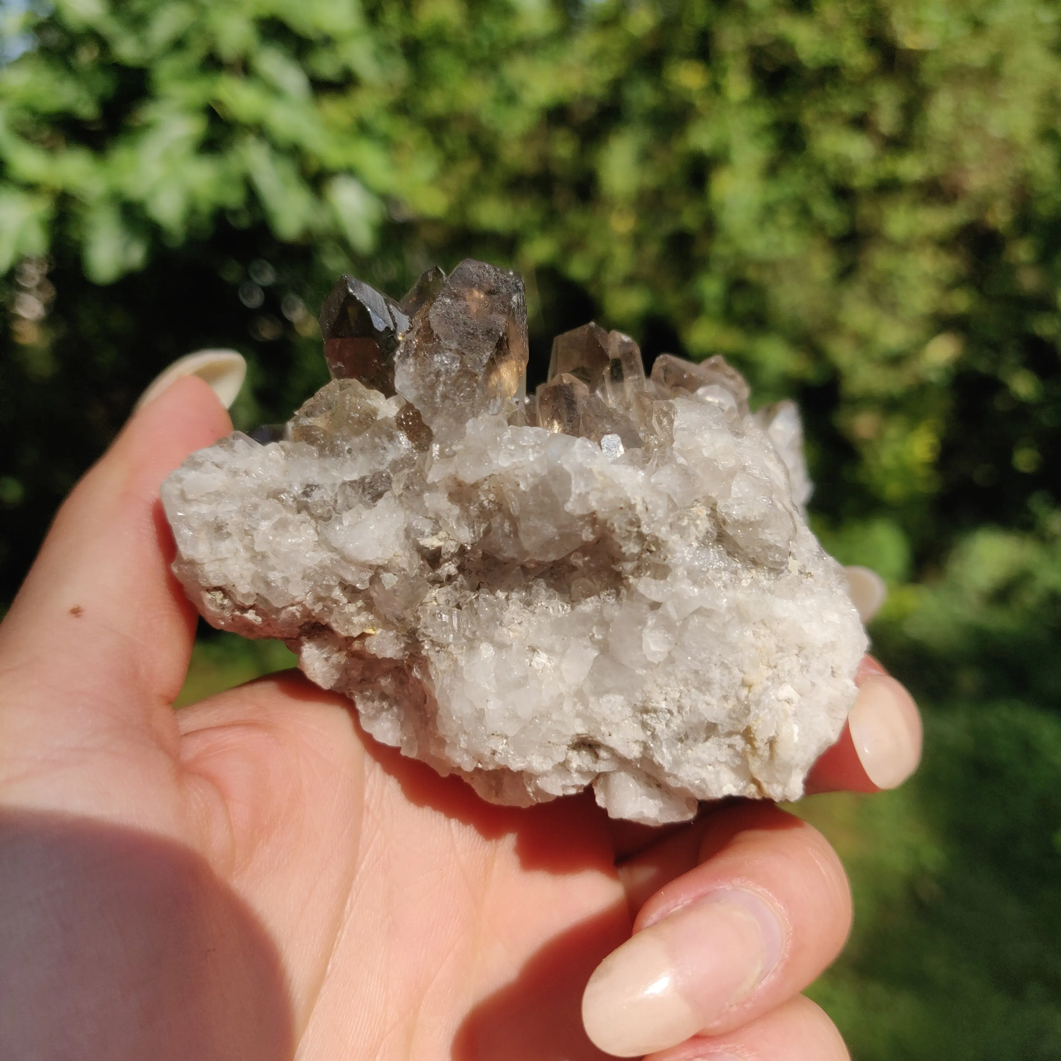 Smoky Quartz Cluster (#2)