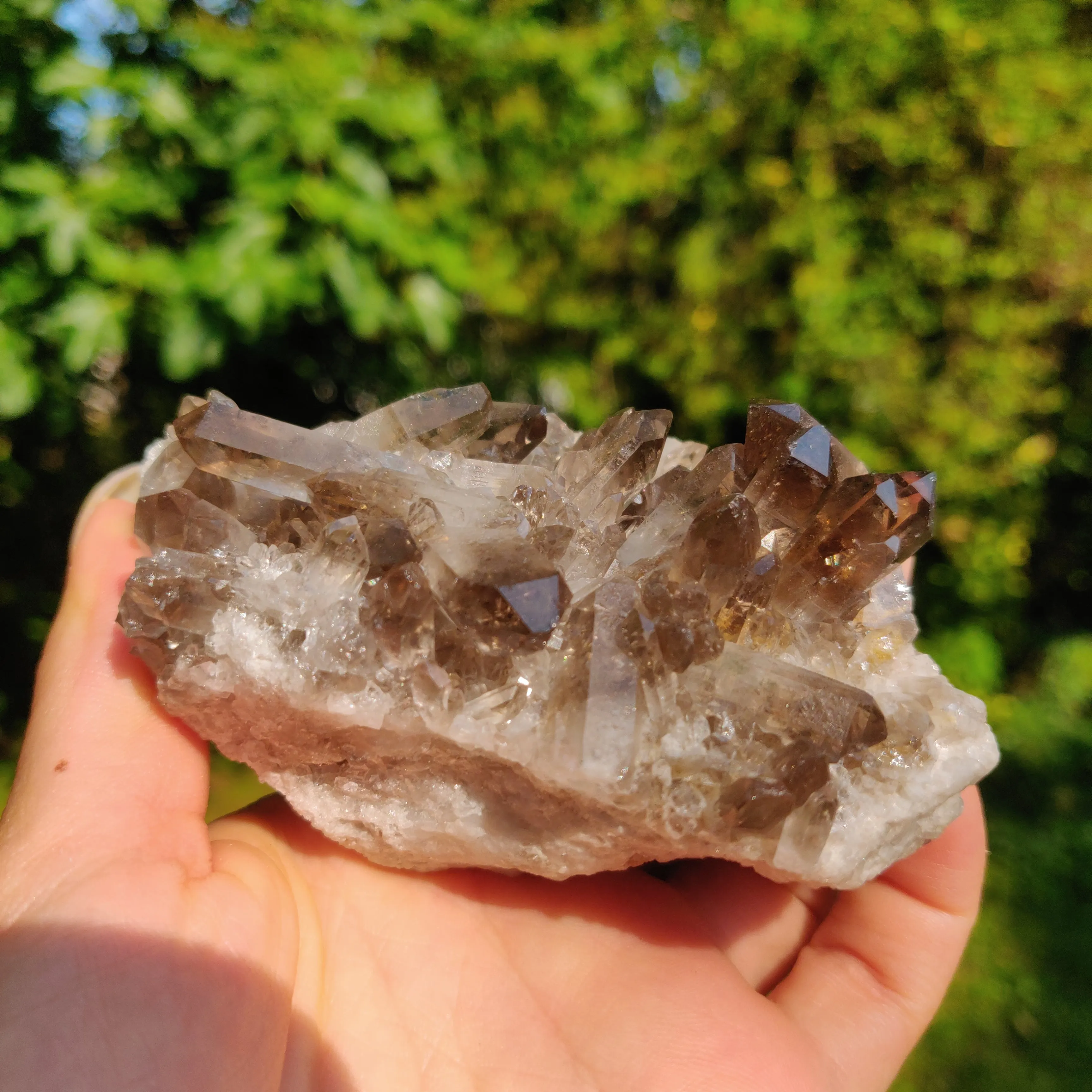 Smoky Quartz Cluster (#2)