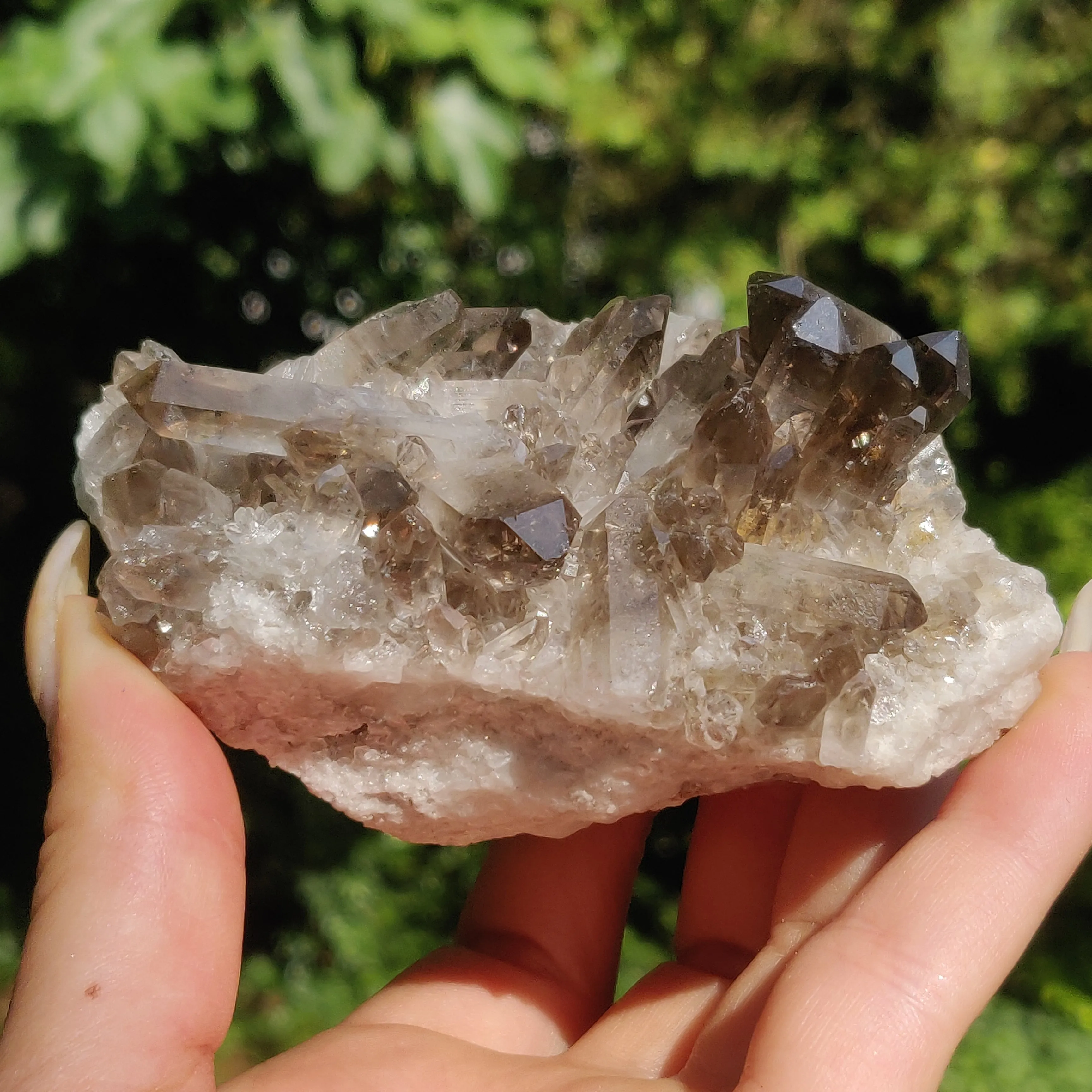 Smoky Quartz Cluster (#2)