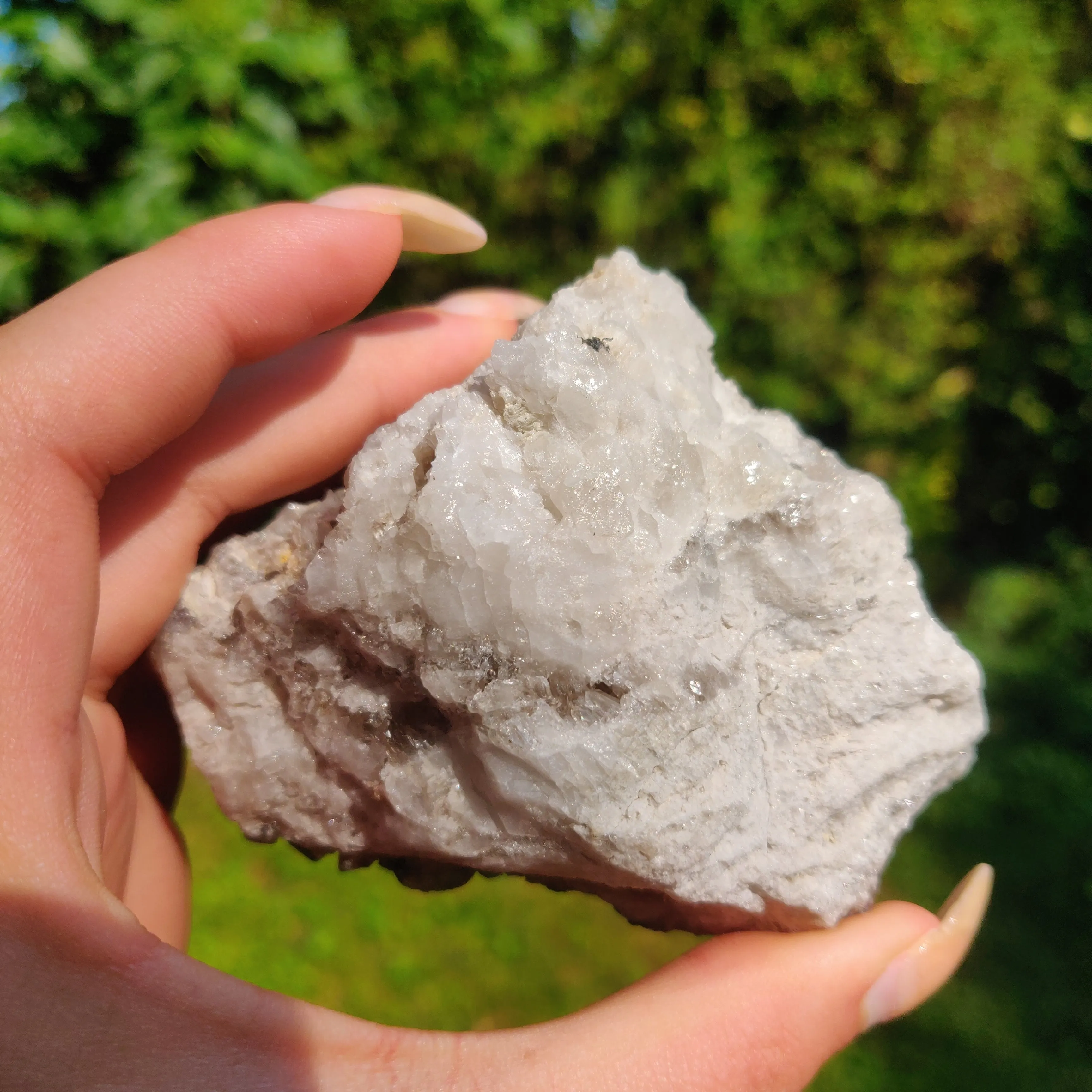 Smoky Quartz Cluster (#2)