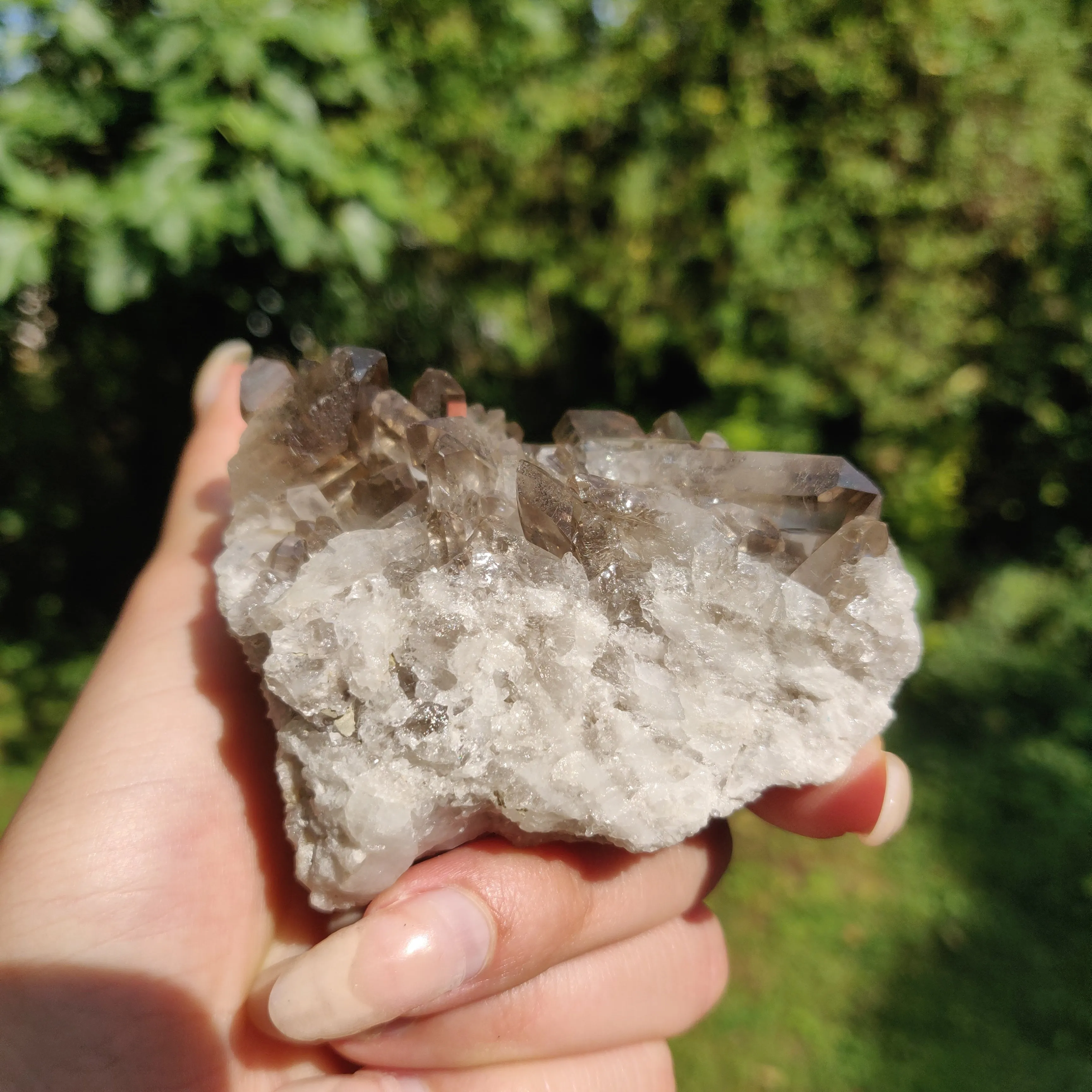 Smoky Quartz Cluster (#2)