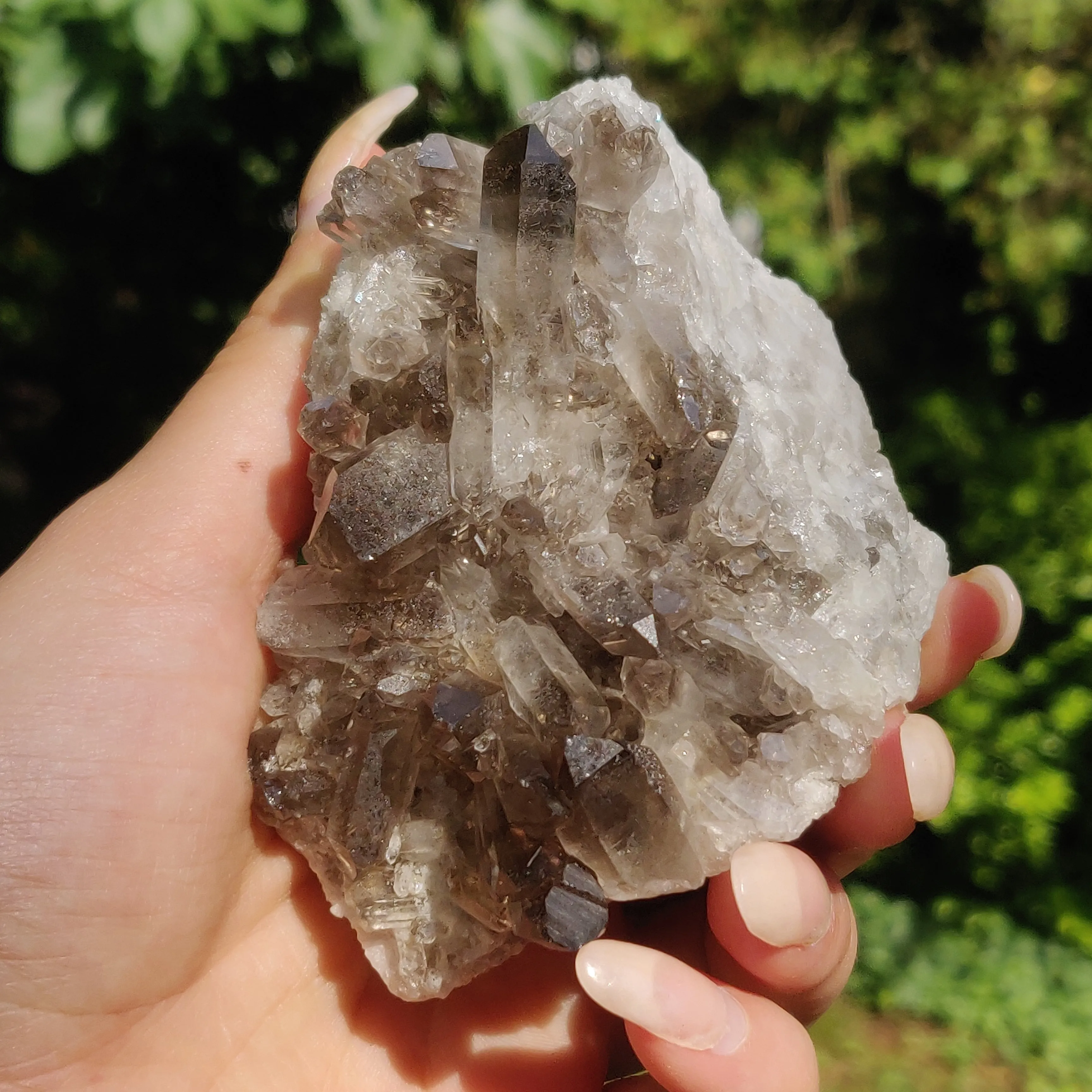 Smoky Quartz Cluster (#2)