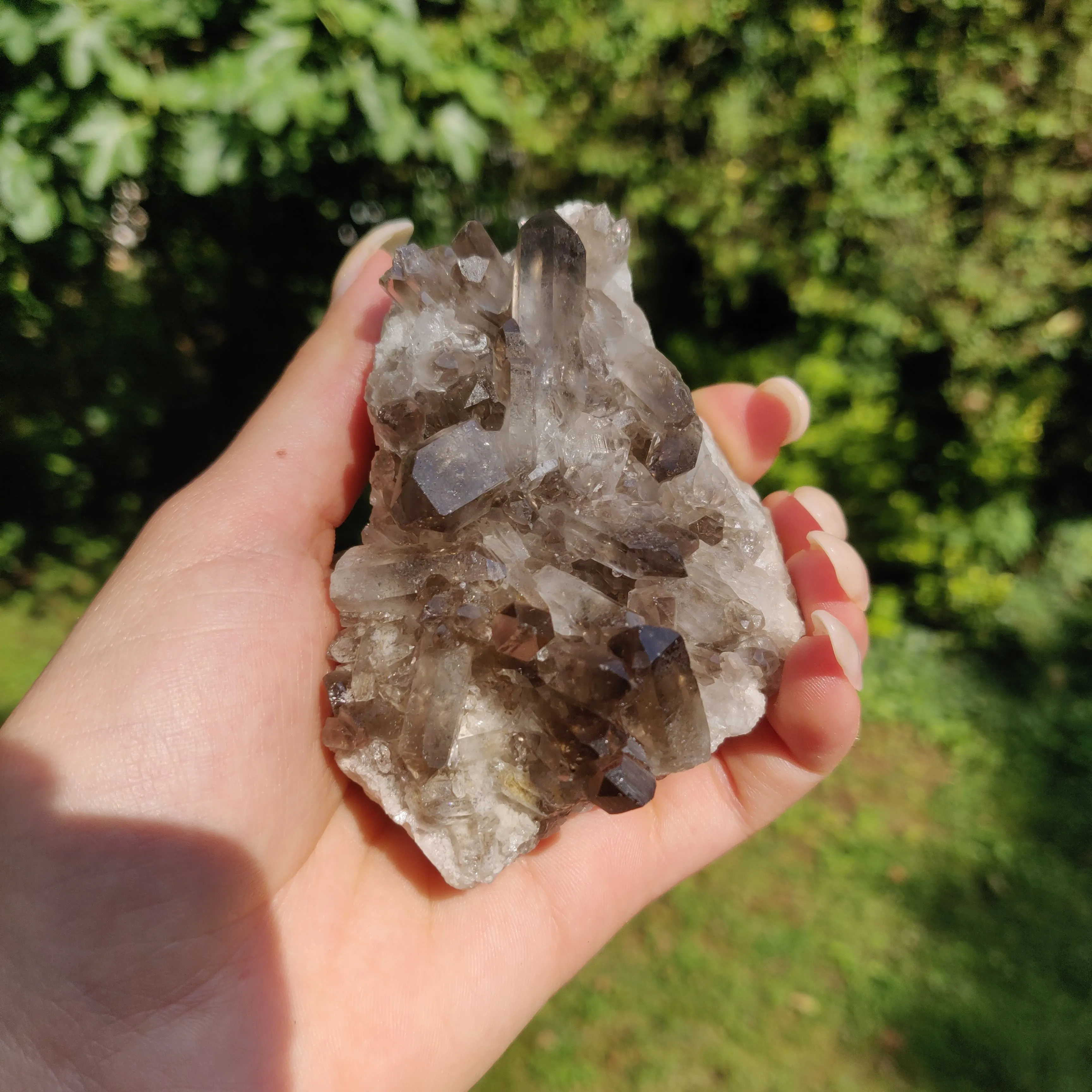 Smoky Quartz Cluster (#2)