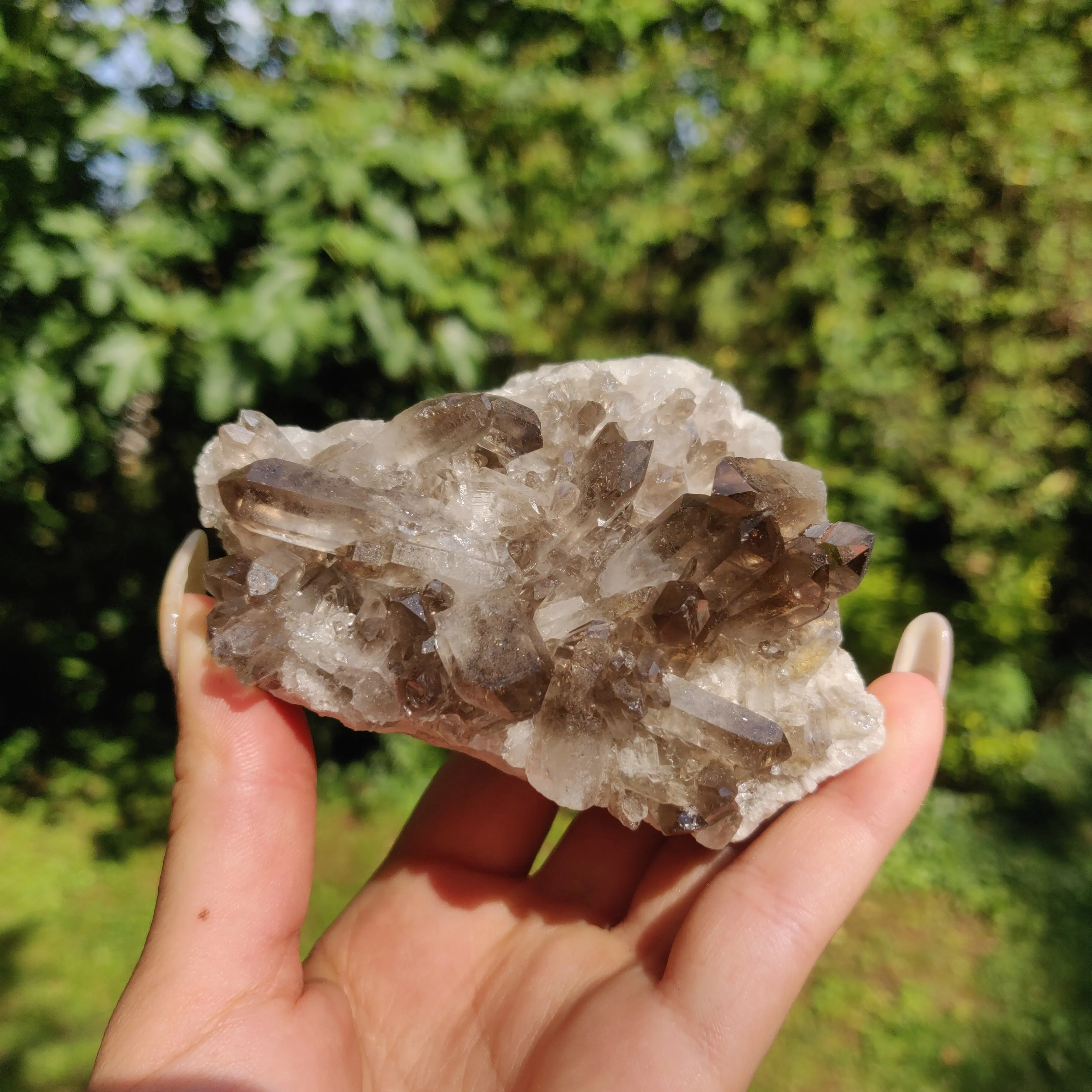 Smoky Quartz Cluster (#2)