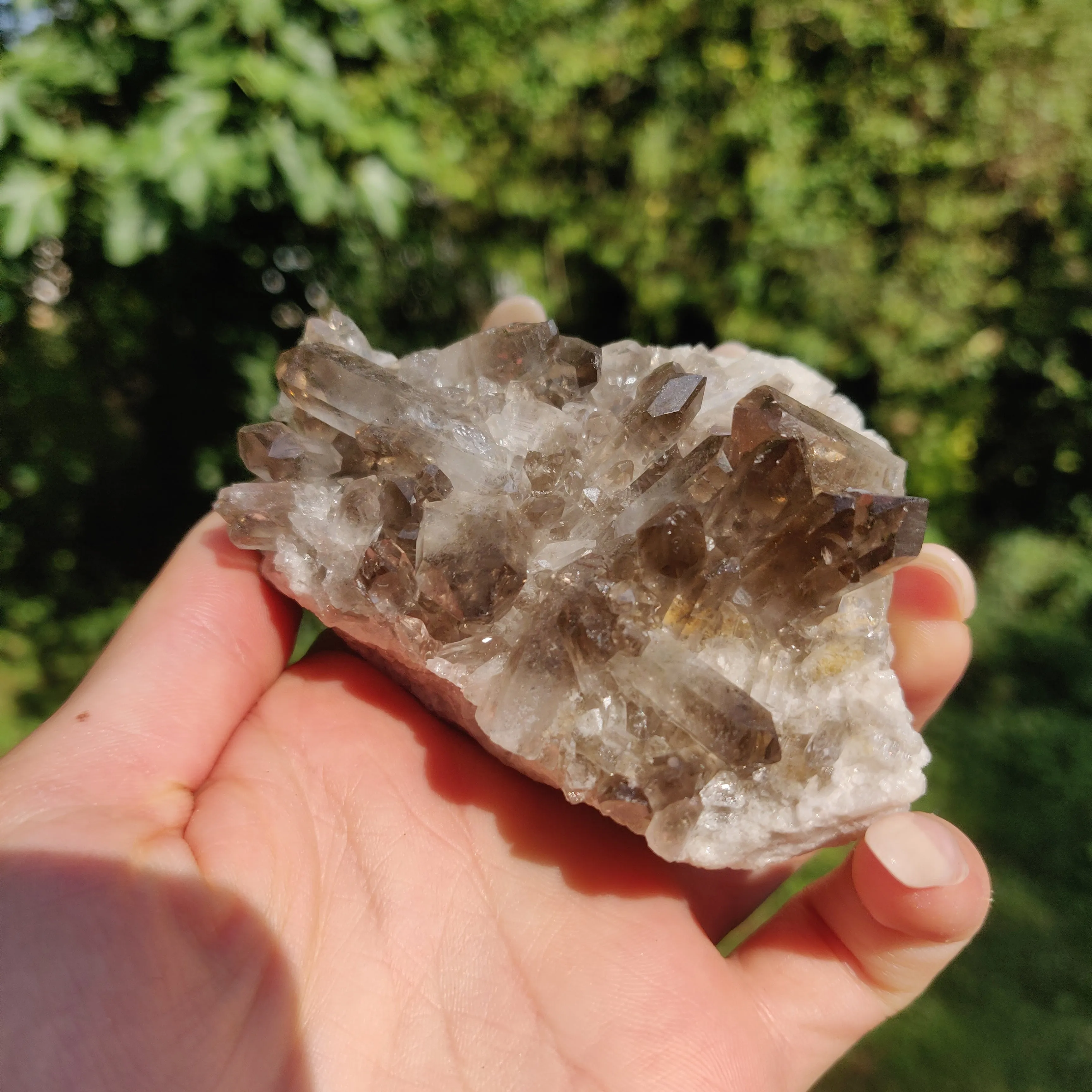 Smoky Quartz Cluster (#2)