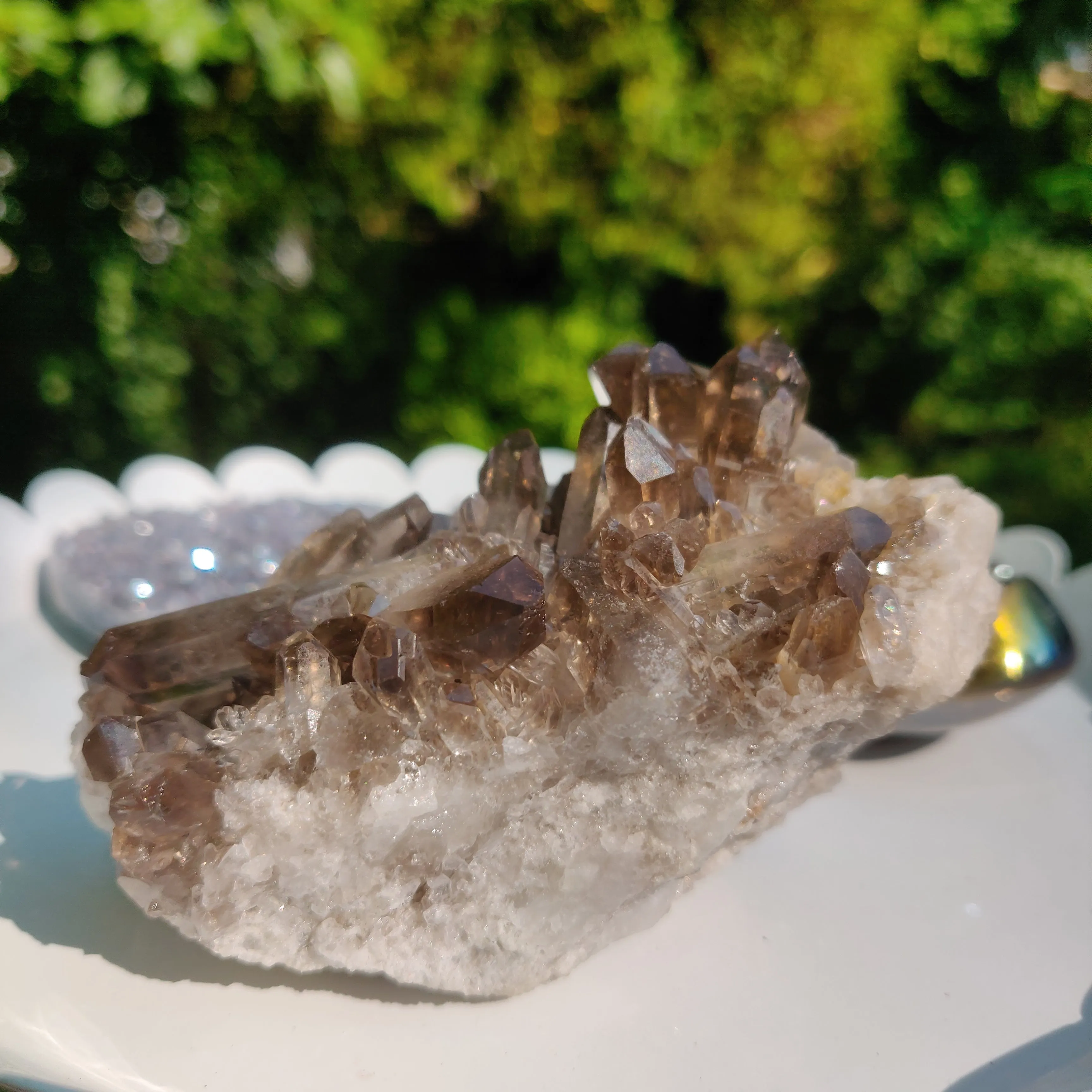 Smoky Quartz Cluster (#2)