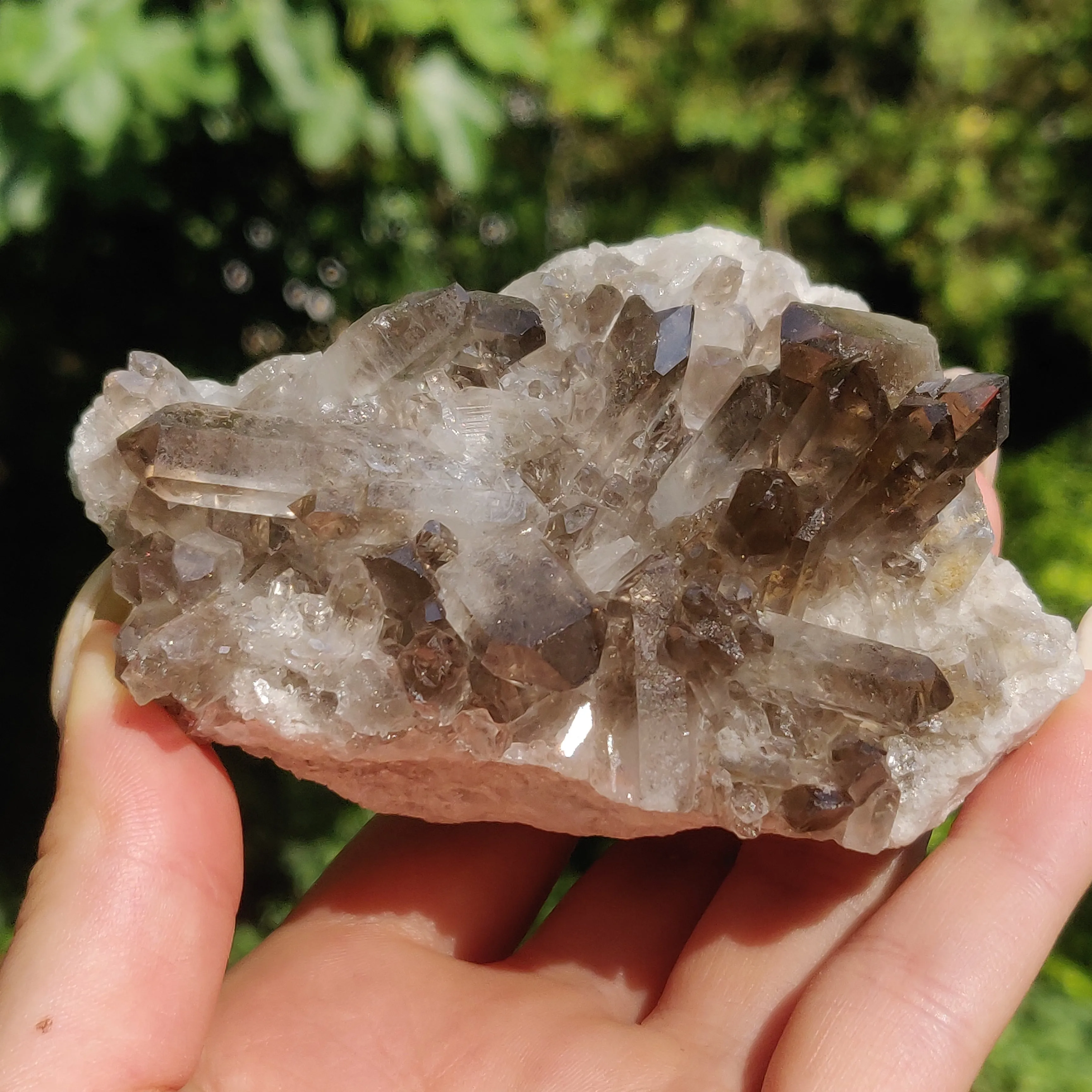 Smoky Quartz Cluster (#2)